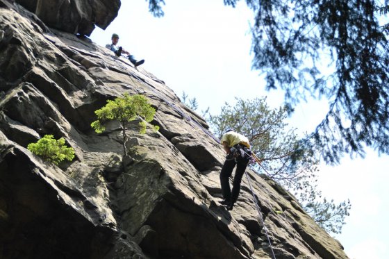 Čtyři palice