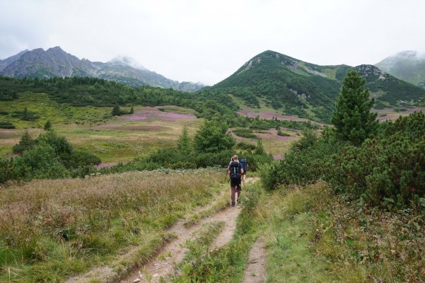 Vysoké Tatry