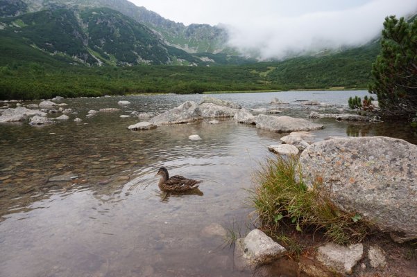 Vysoké Tatry