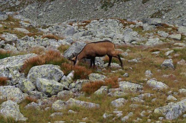 Vysoké Tatry