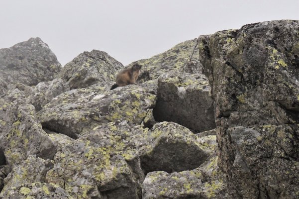 Vysoké Tatry