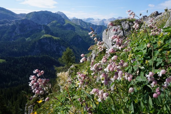 Berchtesgadenské Alpy