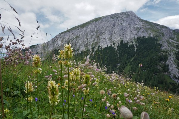 Berchtesgadenské Alpy