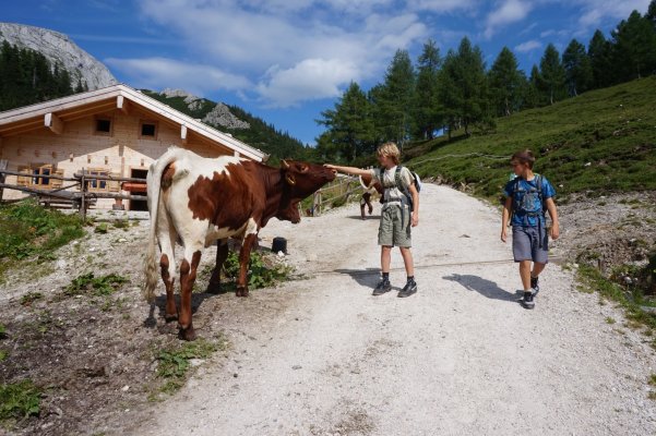 Berchtesgadenské Alpy