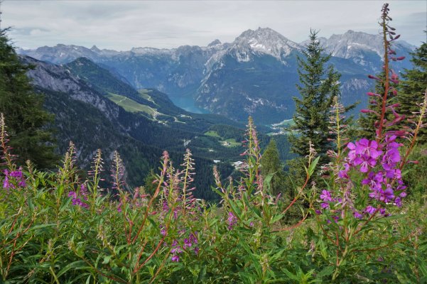 Berchtesgadenské Alpy