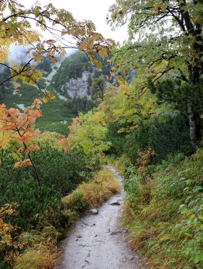 Vysoké Tatry