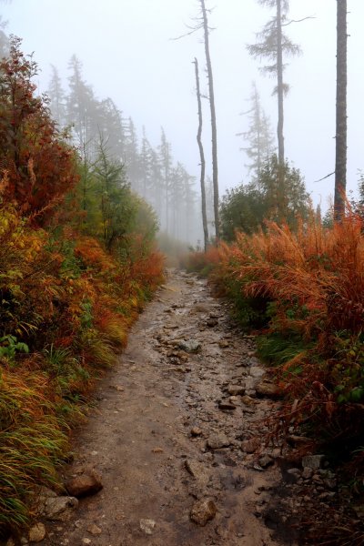 Vysoké Tatry