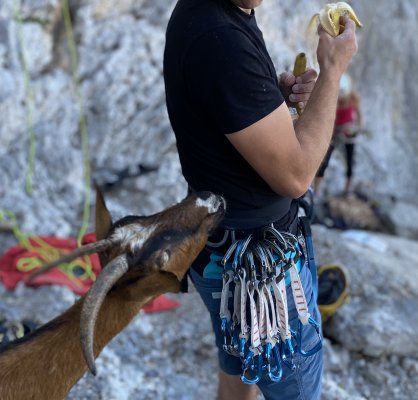 A zase ten Kalymnos