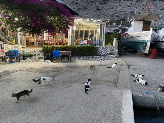 A zase ten Kalymnos