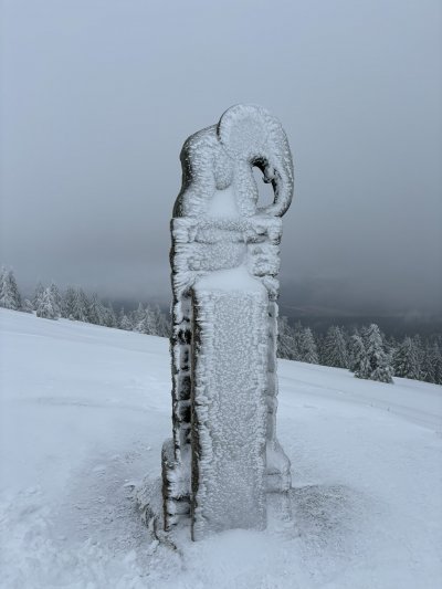 Výstup na Králický Sněžník